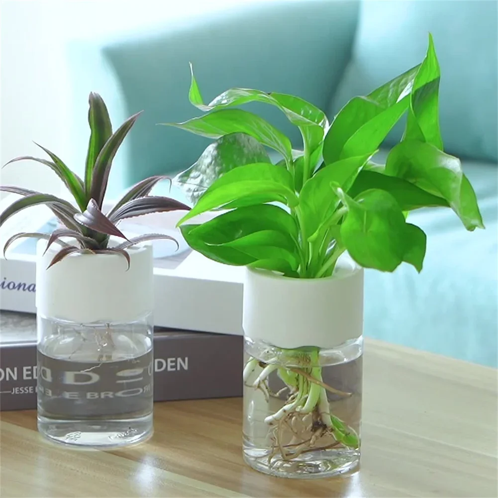 Plant Desk Mini - Mini Vaso Idroponico Trasparente per Fiori,
