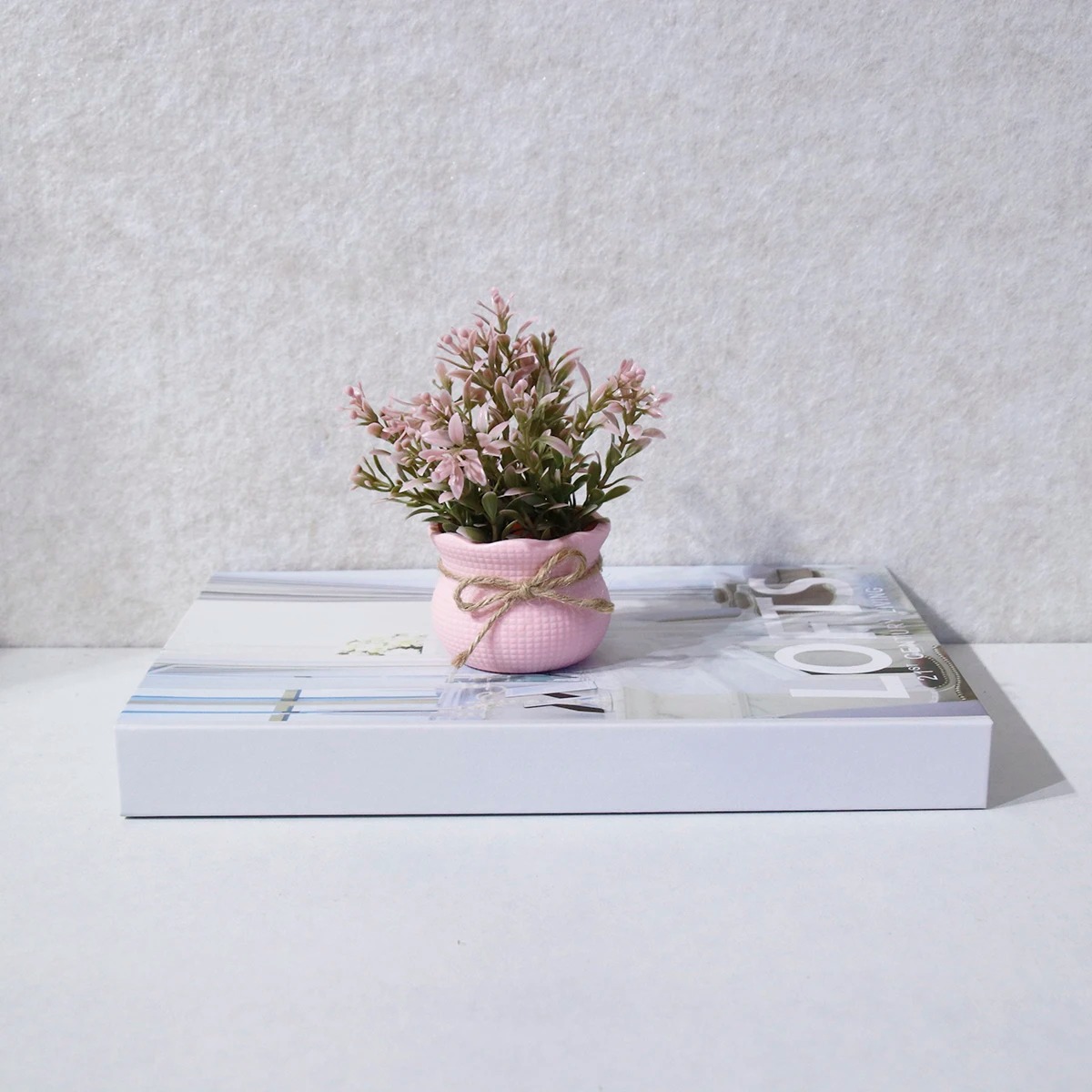 Mini piante in vaso di fiori a - Plant Desk Mini recensione e prezzo