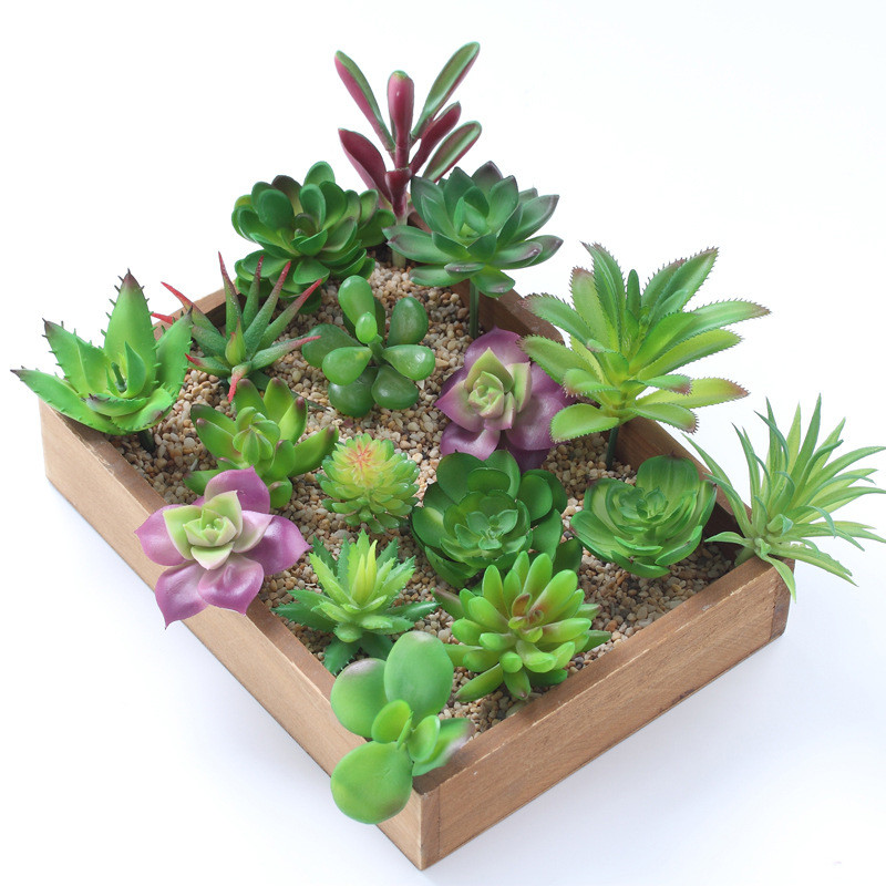 2021 piante grasse artificiali - Plant Desk Mini recensione e prezzo