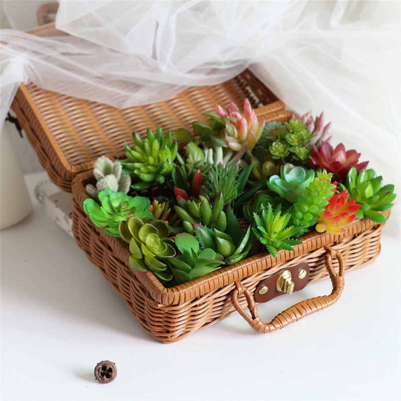 2021 piante grasse artificiali - Plant Desk Mini recensione e prezzo