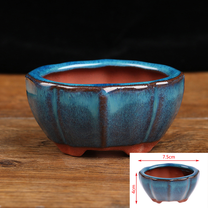 1 pz Bonsai Mini Vaso di Fiori - Plant Desk Mini recensione e prezzo