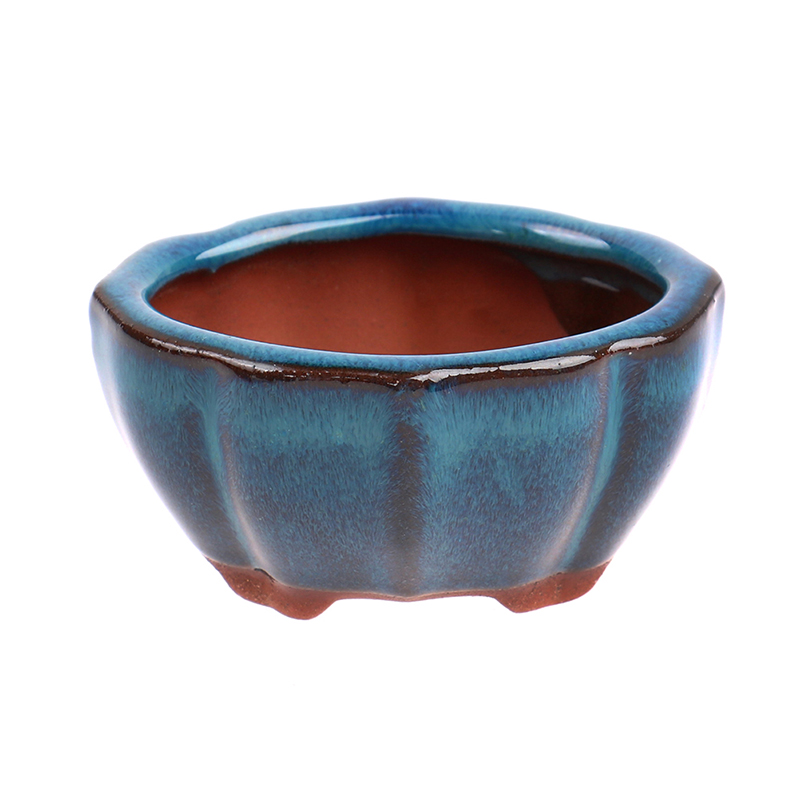 1 pz Bonsai Mini Vaso di Fiori - Plant Desk Mini recensione e prezzo