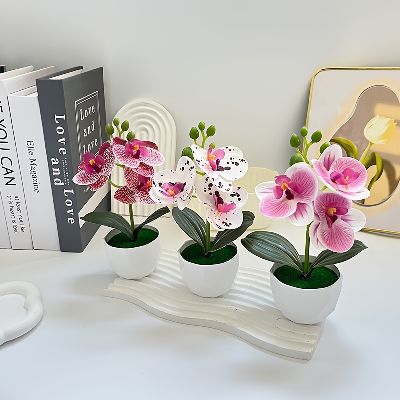Set di 3 Orchidee Phalaenopsis - Plant Desk Mini recensione e prezzo