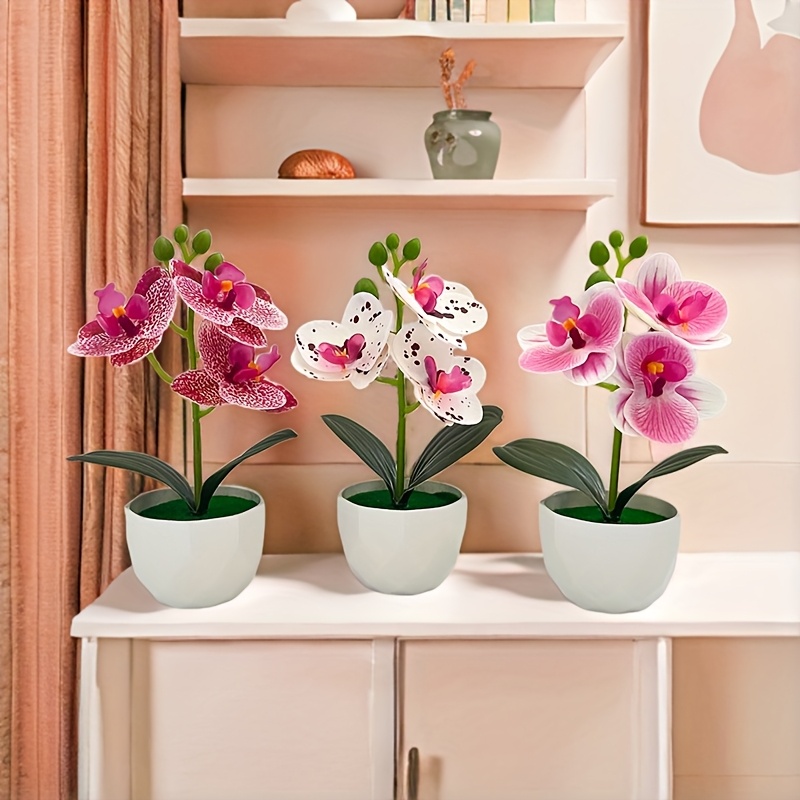 Set di 3 Orchidee Phalaenopsis - Plant Desk Mini recensione e prezzo