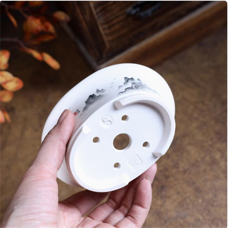 Vaso per bonsai ovale bianco i - Plant Desk Mini recensione e prezzo