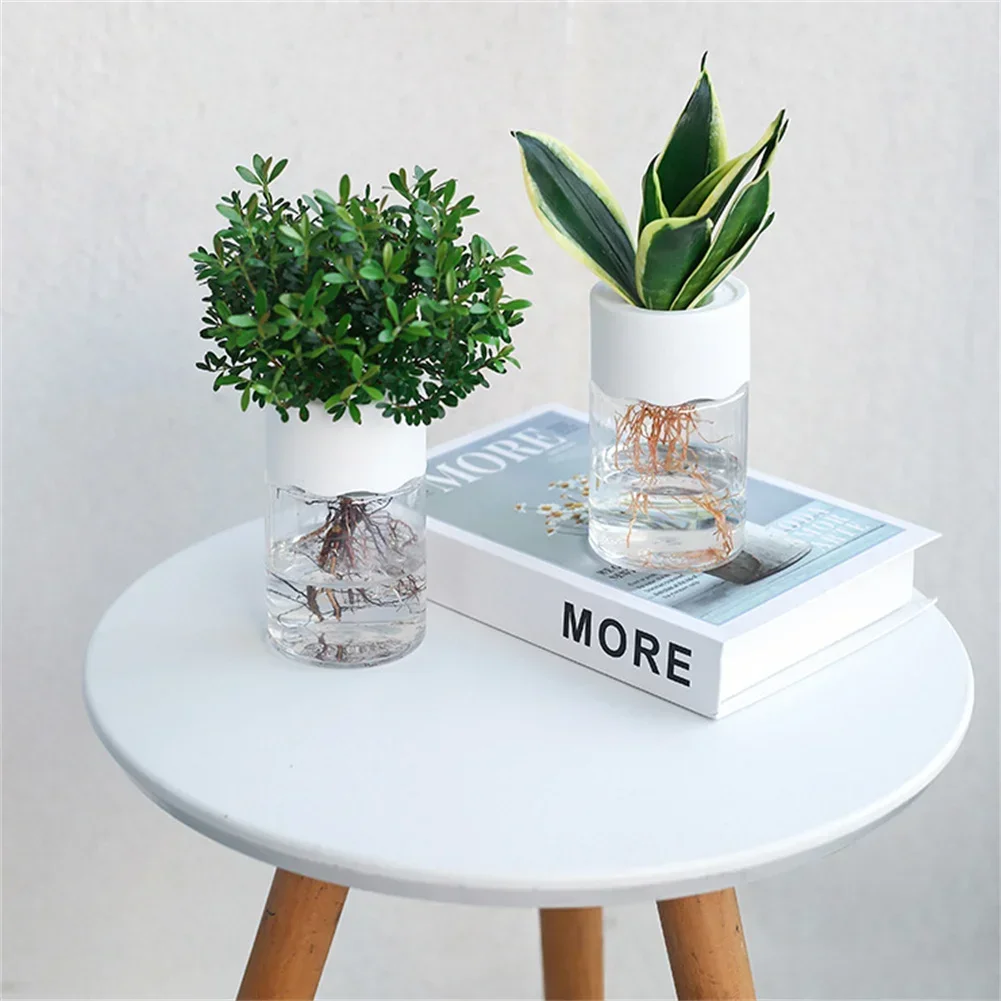 Mini Vaso Idroponico Trasparen - Plant Desk Mini recensione e prezzo