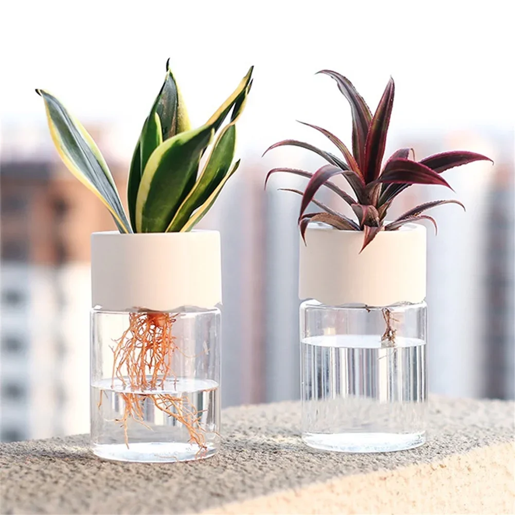 Mini Vaso Idroponico Trasparen - Plant Desk Mini recensione e prezzo