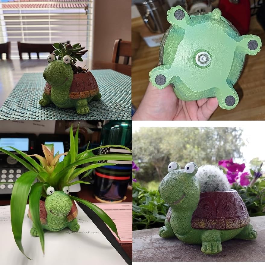 Cute Turtle Planter succulente - Plant Desk Mini recensione e prezzo