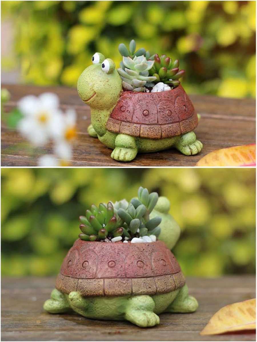 Cute Turtle Planter succulente - Plant Desk Mini recensione e prezzo