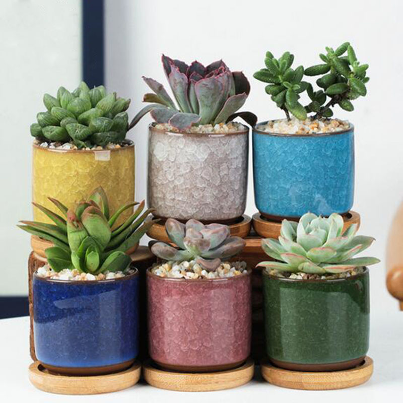 6 pz/set Vaso di Fiori In Cera - Plant Desk Mini recensione e prezzo