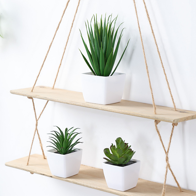 (U set di 3 pezzi) Mini piante - Plant Desk Mini recensione e prezzo