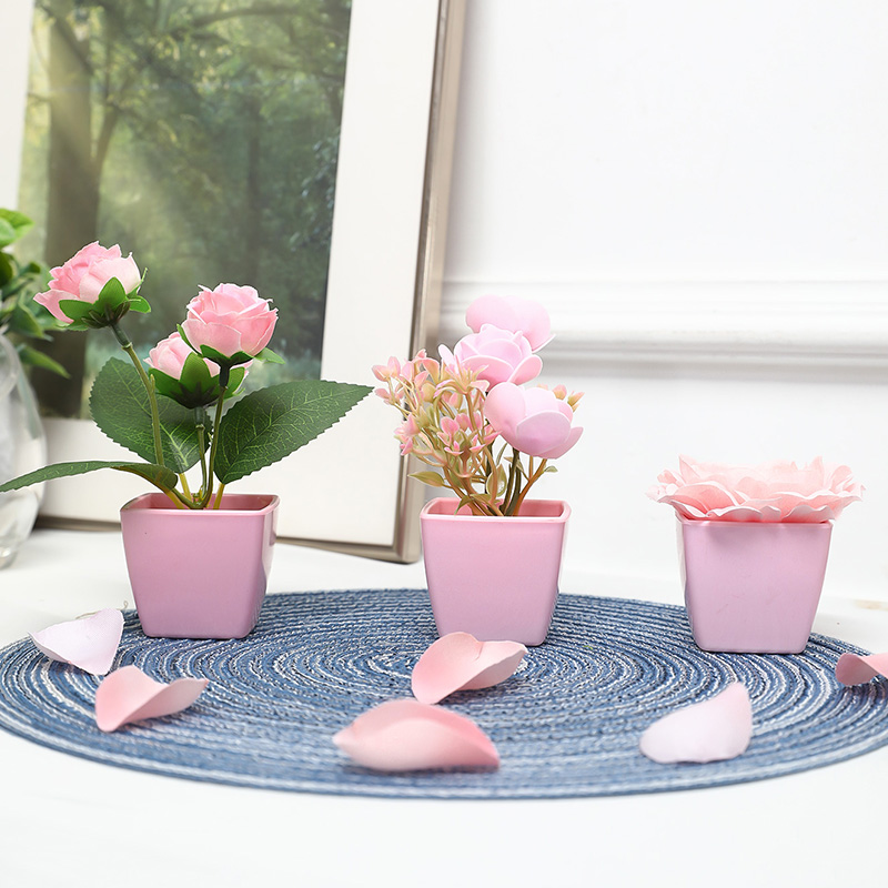 (U set di 3 pezzi) Mini piante - Plant Desk Mini recensione e prezzo