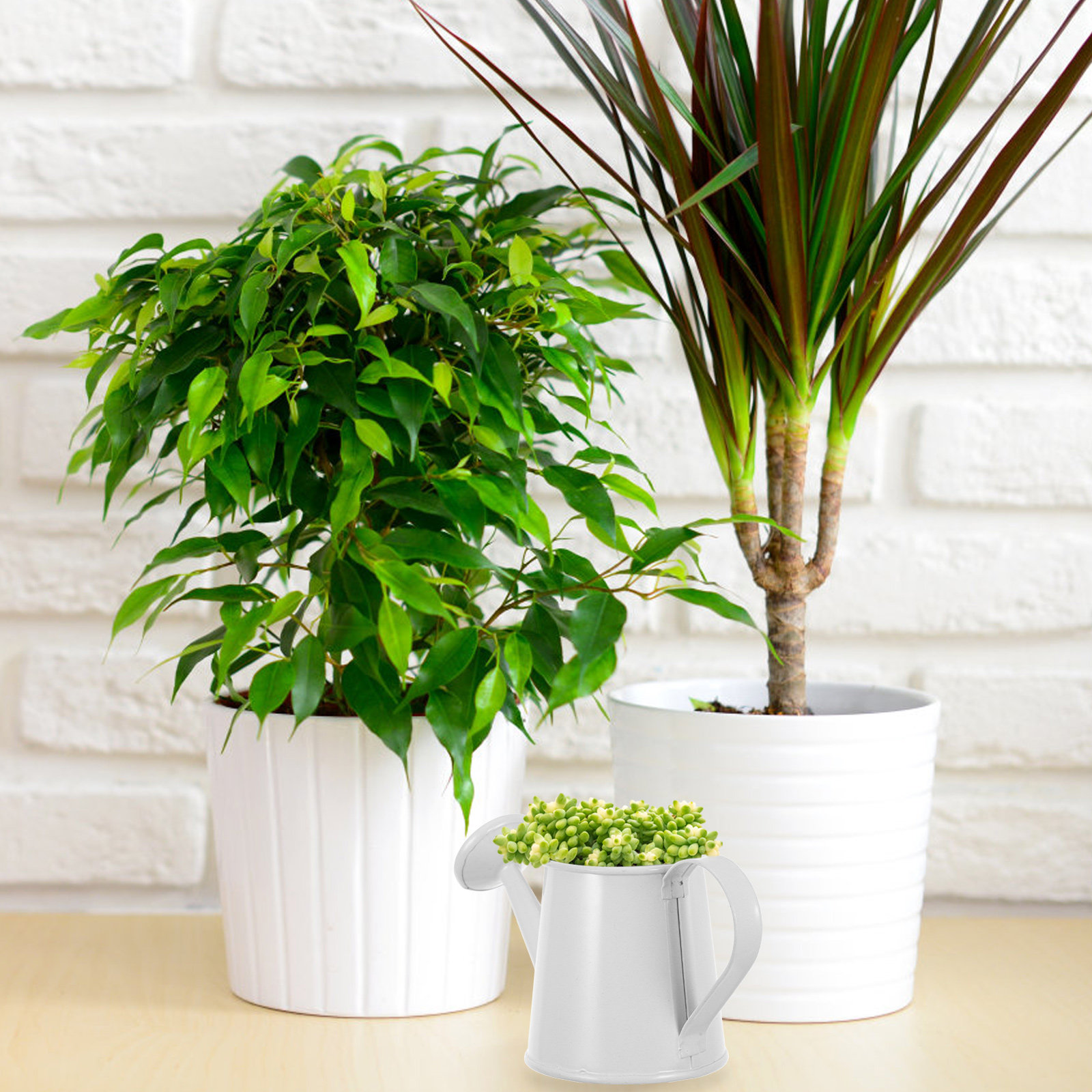 Mini annaffiatoio in ferro per - Home Office Bookshelves recensione e prezzo