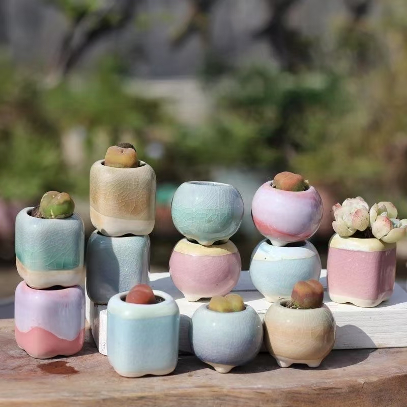 6 pezzi mini vaso da fiori pia - Plant Desk Mini recensione e prezzo