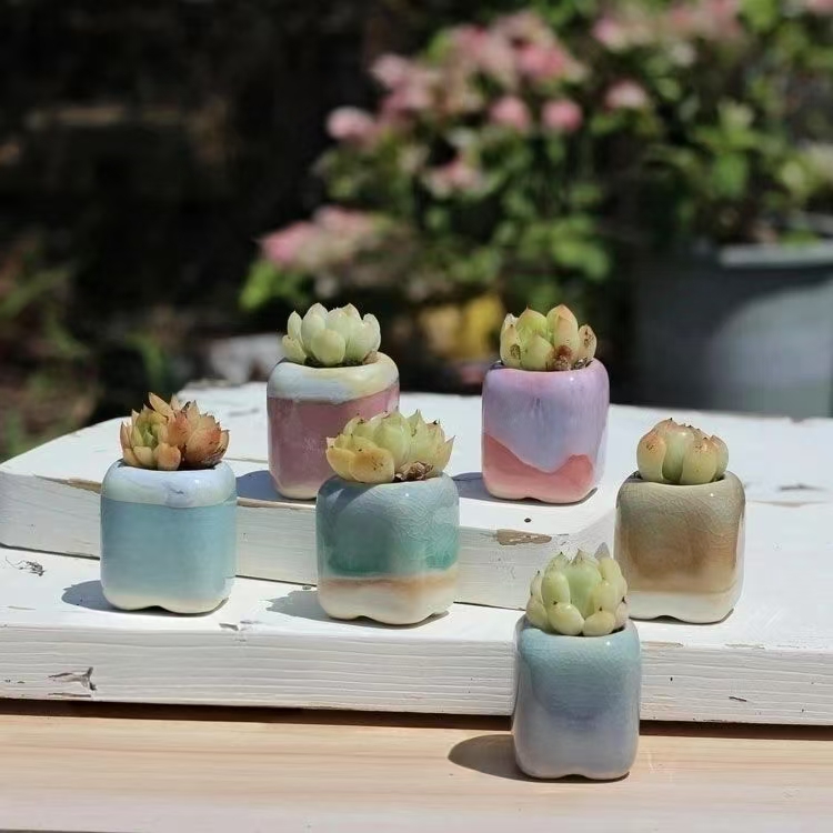 6 pezzi mini vaso da fiori pia - Plant Desk Mini recensione e prezzo